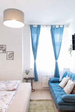 Spacious Apartment in Wenceslas square